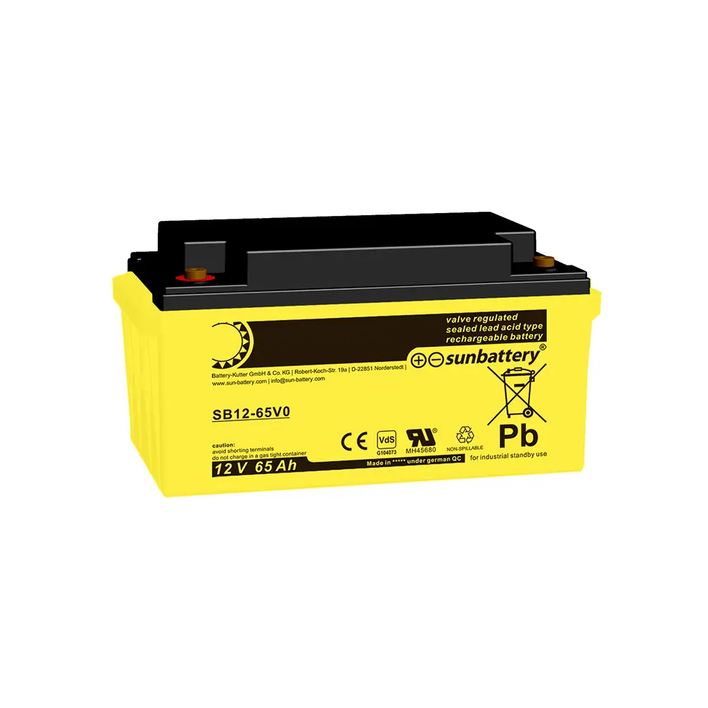 Akku 12 V / 65 Ah Kapazität 