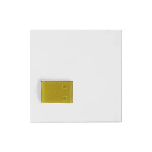 Abdeckplatte Abstelltaster -AW2- Clino Systevo