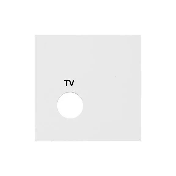 Abdeckplatte TV-Steuermodul