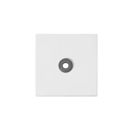 [88880C3N] Abdeckplatte pneum. Ruftaster Clino Systevo