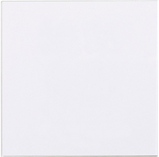 [704910] Ersatzglasscheiben (10) MCP-Gehäuse 70490x/7048xx und 761694/97, 1 VE = 10 Stck.